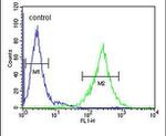 TEX37 Antibody in Flow Cytometry (Flow)