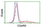 C2orf56 Antibody in Flow Cytometry (Flow)