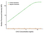 CA12 Antibody in Luminex (Luminex)