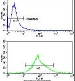 Carbonic Anhydrase XIV Antibody in Flow Cytometry (Flow)