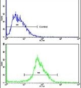Carbonic Anhydrase IX Antibody in Flow Cytometry (Flow)
