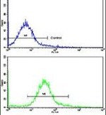 Carbonic Anhydrase IX Antibody in Flow Cytometry (Flow)