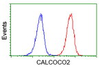 CALCOCO2 Antibody in Flow Cytometry (Flow)