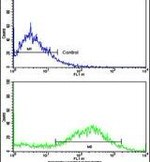 Caldesmon Antibody in Flow Cytometry (Flow)