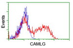 CAMLG Antibody in Flow Cytometry (Flow)