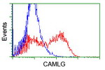 CAMLG Antibody in Flow Cytometry (Flow)