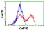CAPN2 Antibody in Flow Cytometry (Flow)