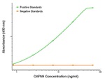 CAPN9 Antibody in ELISA (ELISA)