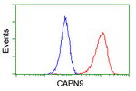 CAPN9 Antibody in Flow Cytometry (Flow)