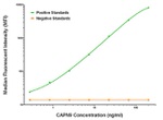 CAPN9 Antibody in Luminex (Luminex)