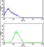 Caspase 2 Antibody in Flow Cytometry (Flow)