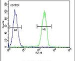 Caspase 5 Antibody in Flow Cytometry (Flow)