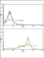 Caveolin 3 Antibody in Flow Cytometry (Flow)