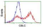 CBLC Antibody in Flow Cytometry (Flow)