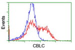 CBLC Antibody in Flow Cytometry (Flow)