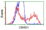 CBWD1 Antibody in Flow Cytometry (Flow)