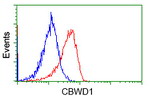CBWD1 Antibody in Flow Cytometry (Flow)