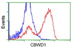 CBWD1 Antibody in Flow Cytometry (Flow)