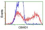 CBWD1 Antibody in Flow Cytometry (Flow)