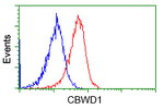 CBWD1 Antibody in Flow Cytometry (Flow)