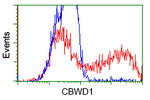 CBWD1 Antibody in Flow Cytometry (Flow)