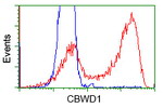 CBWD1 Antibody in Flow Cytometry (Flow)