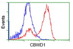 CBWD1 Antibody in Flow Cytometry (Flow)
