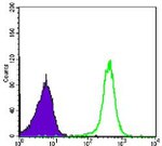 HP1 beta Antibody in Flow Cytometry (Flow)