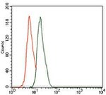 CBX8 Antibody in Flow Cytometry (Flow)
