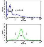 CCDC130 Antibody in Flow Cytometry (Flow)