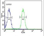 TMEM30B Antibody in Flow Cytometry (Flow)