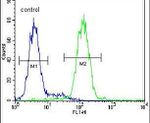 CCDC17 Antibody in Flow Cytometry (Flow)