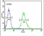 Cyclin G1 Antibody in Flow Cytometry (Flow)