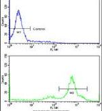 TCP-1 gamma Antibody in Flow Cytometry (Flow)