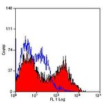 CD11b Antibody in Flow Cytometry (Flow)