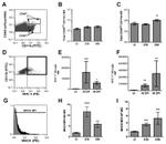 CD11b Antibody in Flow Cytometry (Flow)