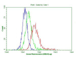 CD19 Antibody in Flow Cytometry (Flow)