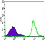 CD19 Antibody in Flow Cytometry (Flow)