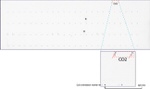 CD2 Antibody in Peptide array (ARRAY)