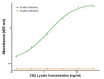 CD2 Antibody in ELISA (ELISA)