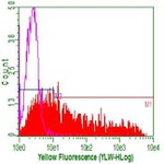 CD20 (MS4A1) Antibody in Flow Cytometry (Flow)