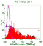 CD20 (MS4A1) Antibody in Flow Cytometry (Flow)
