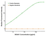 CD20 (MS4A1) Antibody in Luminex (Luminex)