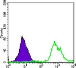 CD3z Antibody in Flow Cytometry (Flow)