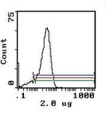 CD26 Monoclonal Antibody (OX-61)