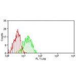 PD-L1 Antibody in Flow Cytometry (Flow)