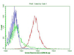CD38 Antibody in Flow Cytometry (Flow)