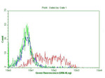 CD38 Antibody in Flow Cytometry (Flow)