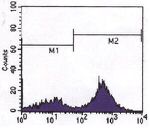 CD3 Antibody in Flow Cytometry (Flow)