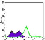 CD3e Antibody in Flow Cytometry (Flow)
